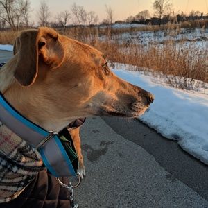 Meet your Posher, Calvin